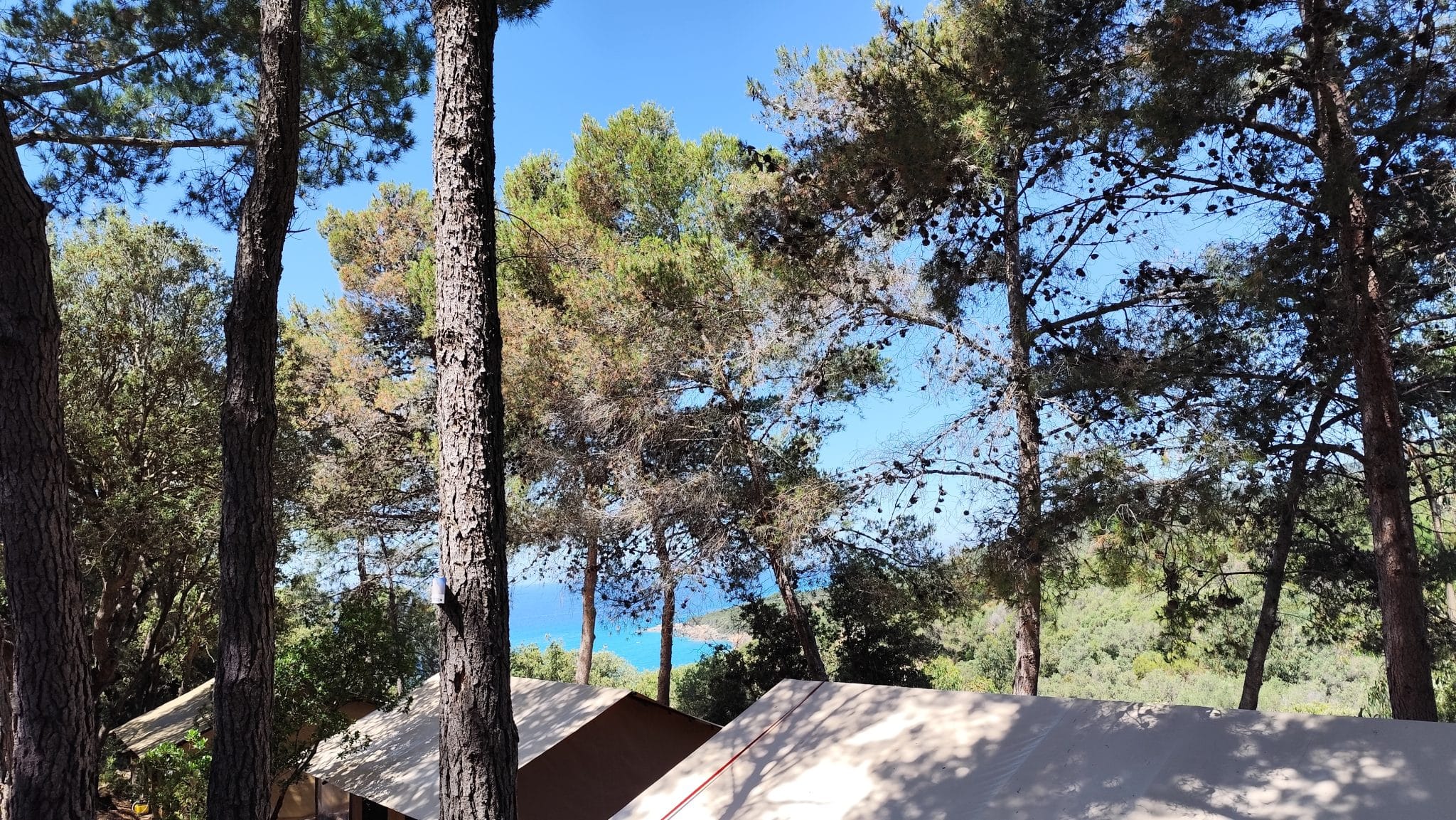 Vue depuis emplacement de camping avec piscine à Propriano - L'Esplanade